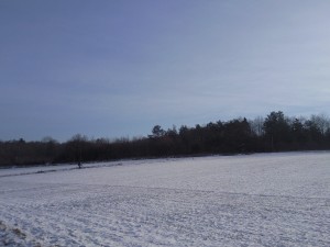 La neige